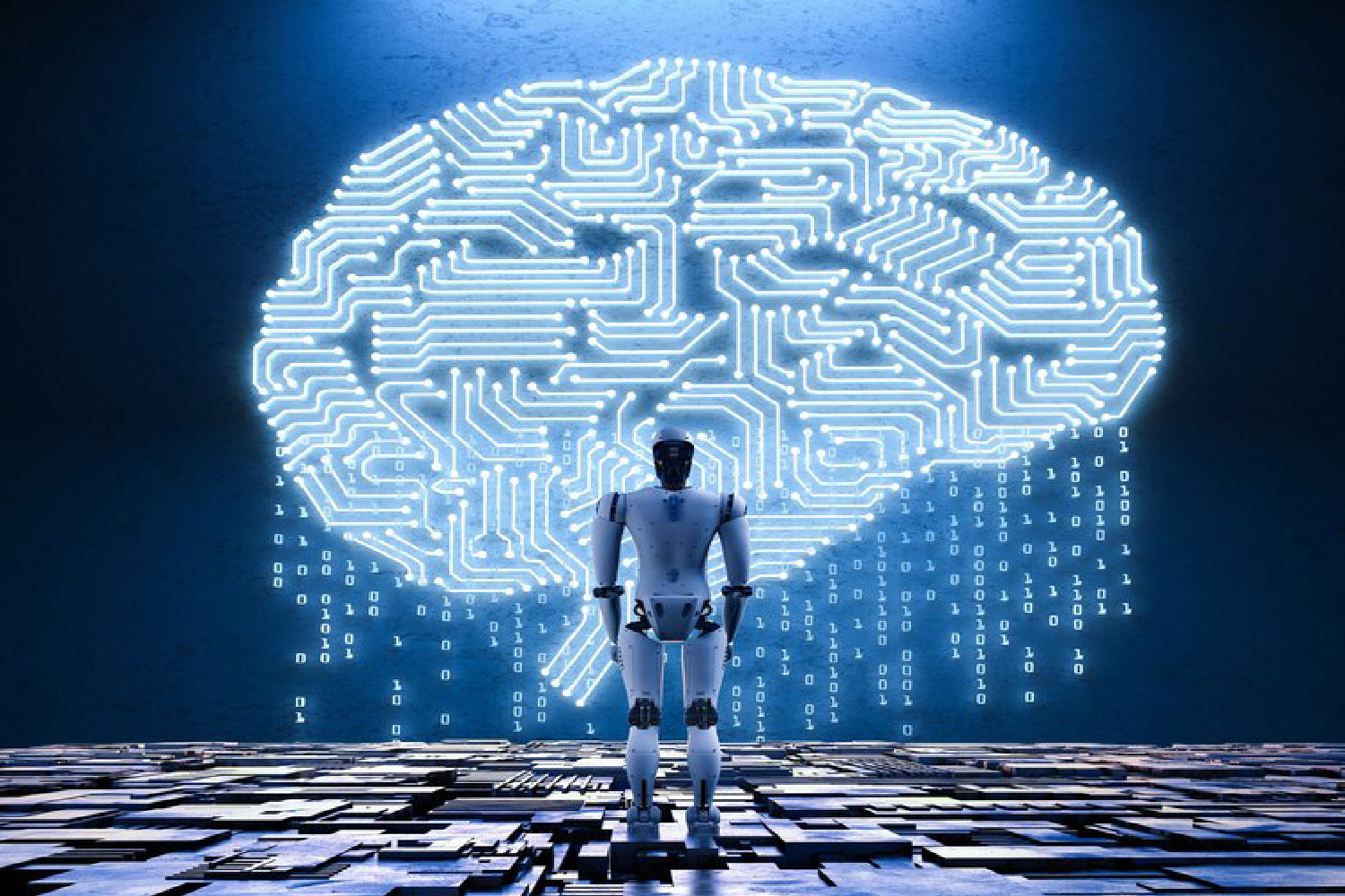 Understanding AI – A Bird’s Eye View 